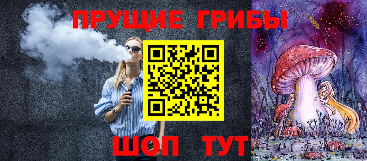 Псилоцибиновые грибы Psilocybe Альметьевск