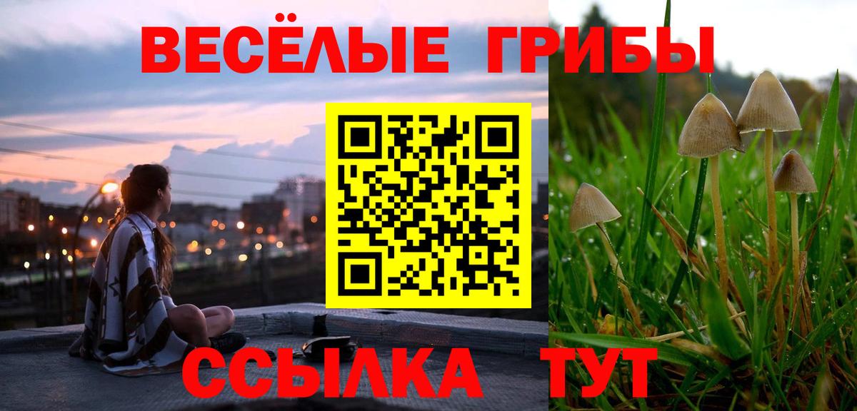 что такое   Галлюциногенные грибы MAGIC MUSHROOMS  Вход с VPN  Галлюциногенные грибы Psilocybine cubensis  Альметьевск 